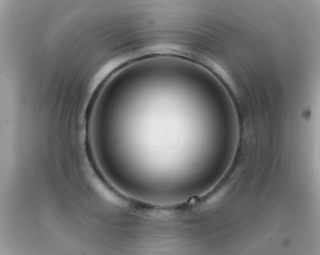 X0000091931082200709051457
