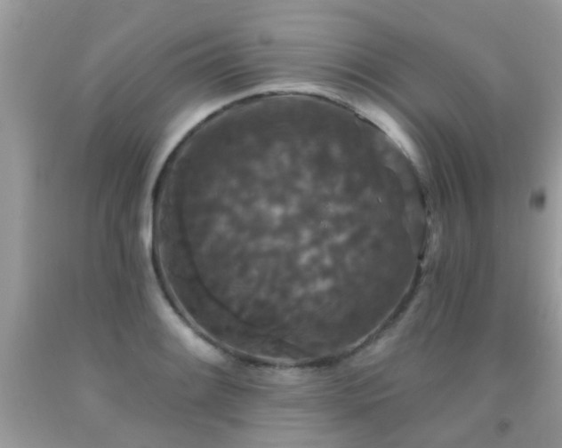 X0000091931084200709051456