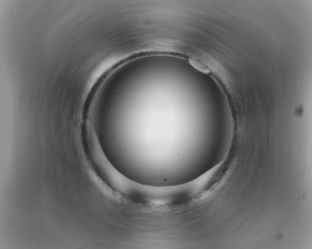 X0000091931085200709051456
