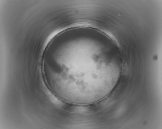 X0000091931086200709051456