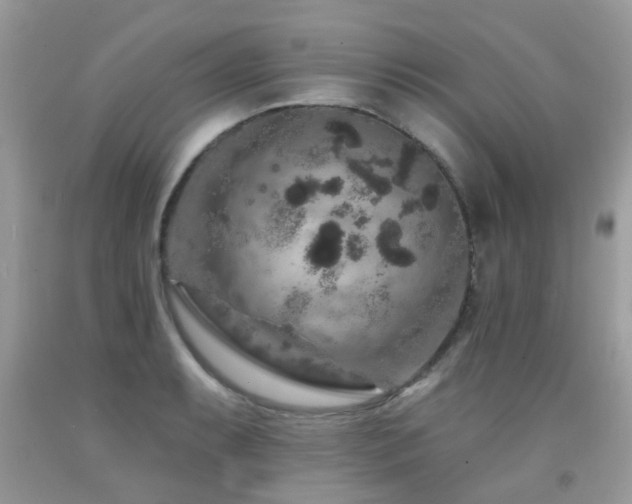 X0000091931087200709051456