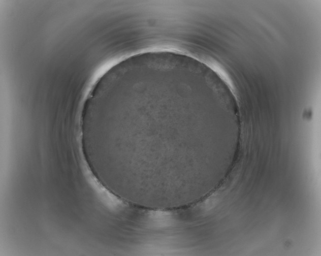 X0000091931088200709051456