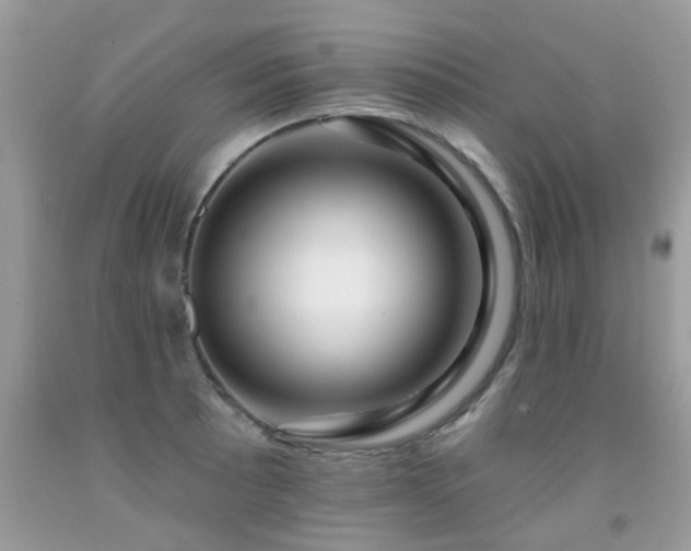 X0000091931089200709051456