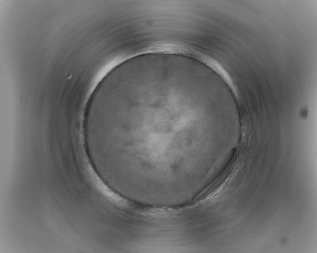 X0000091931091200709051456