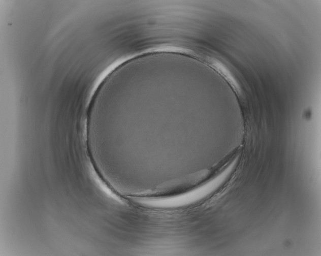 X0000091931092200709051456