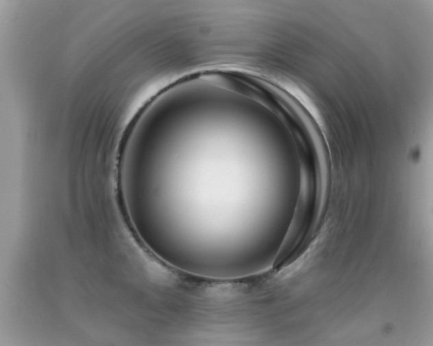X0000091931093200709051456