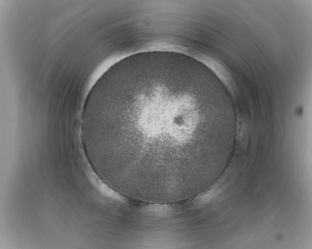 X0000091931094200709051456