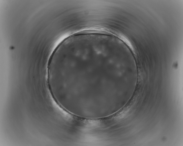 X0000091931095200709051456
