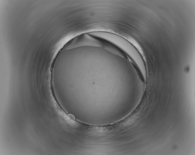 X0000091931096200709051456