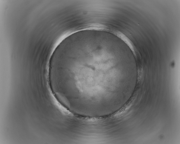 X0000091931099200709051456