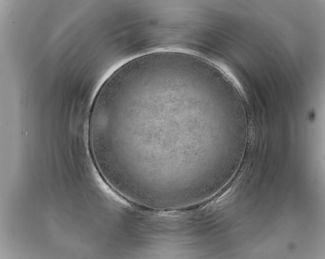 X0000091931100200709051456