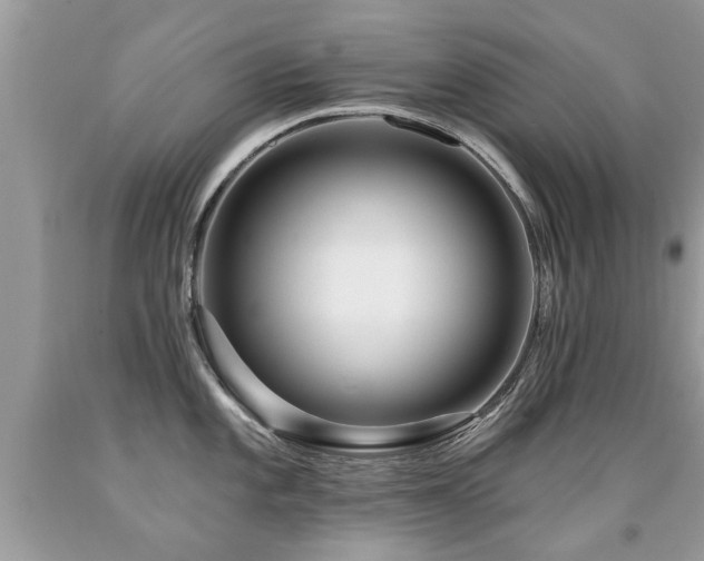 X0000091931101200709051456