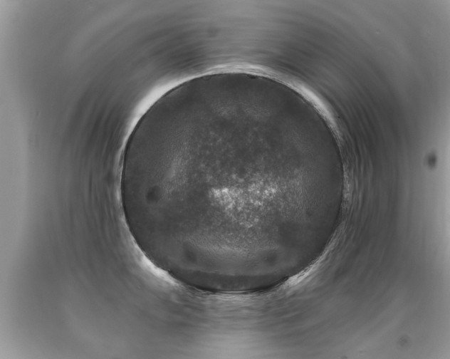 X0000091931102200709051456