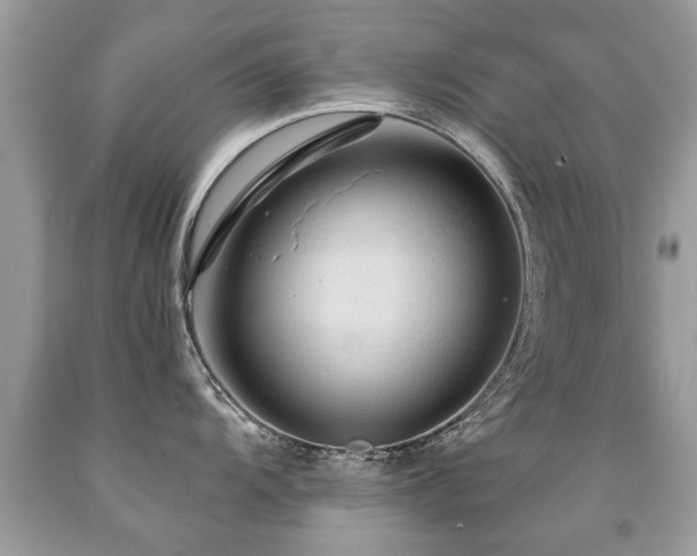 X0000091931104200709051456