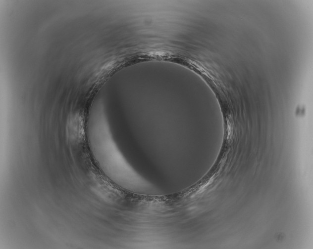 X0000091931106200709051455