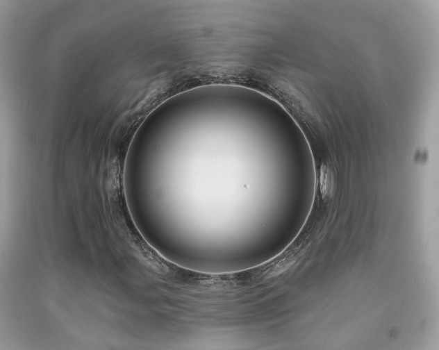 X0000091931107200709051456