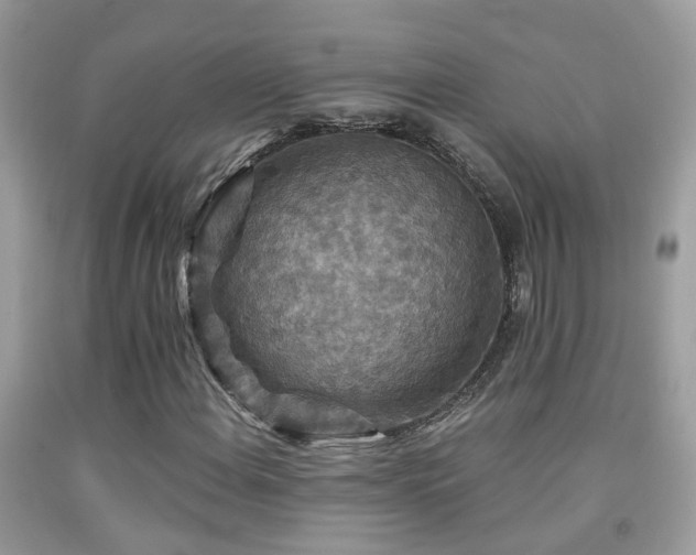 X0000091931108200709051456