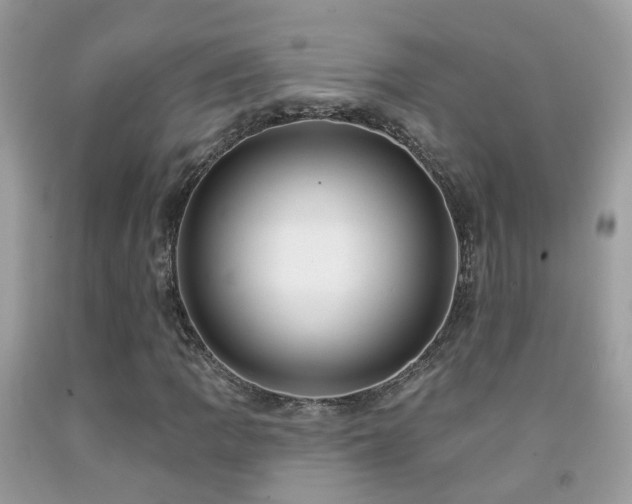 X0000091931109200709051456