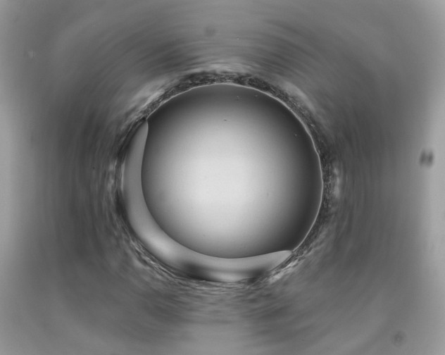 X0000091931110200709051456