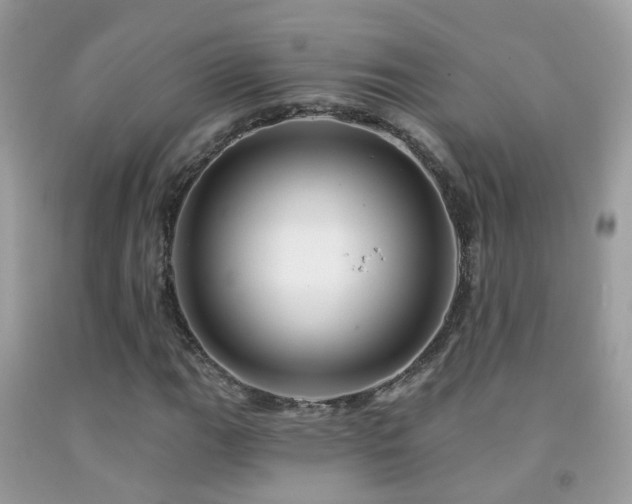 X0000091931111200709051456