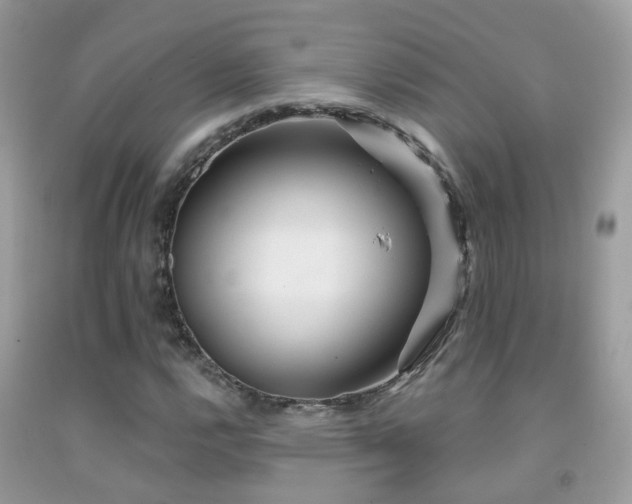 X0000091931112200709051456