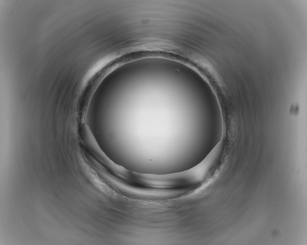 X0000091931114200709051456