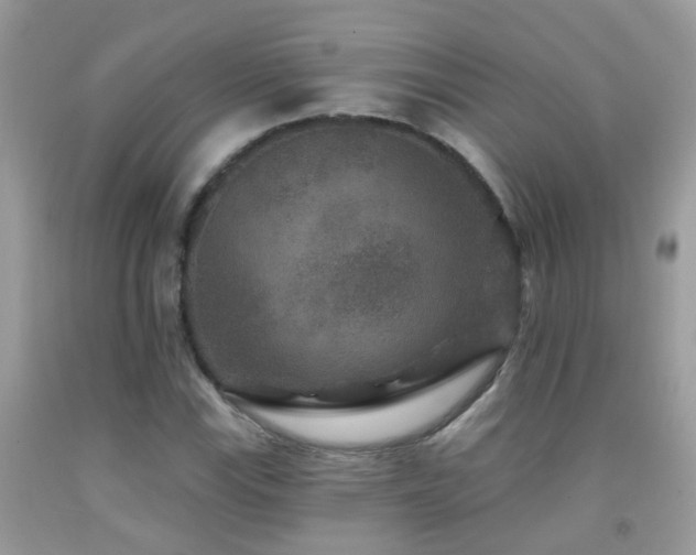 X0000091931115200709051456