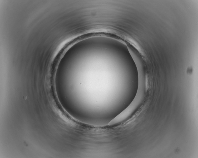 X0000091931116200709051456