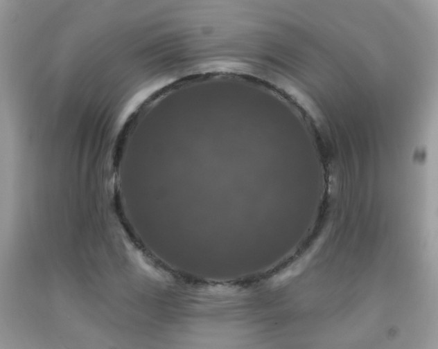 X0000091931117200709051456