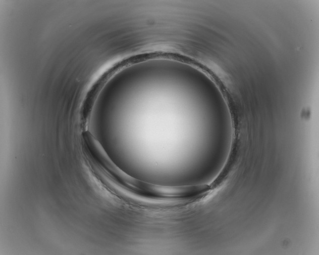 X0000091931118200709051456