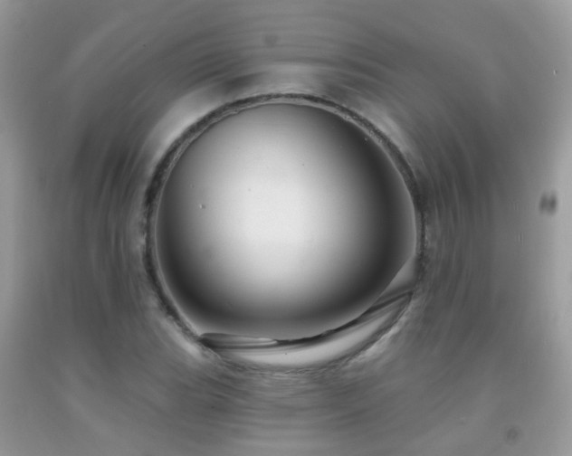 X0000091931119200709051456