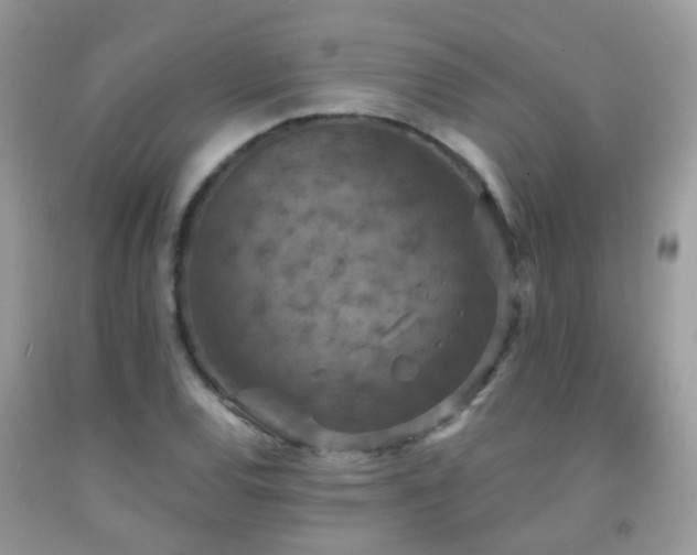 X0000091931120200709051456