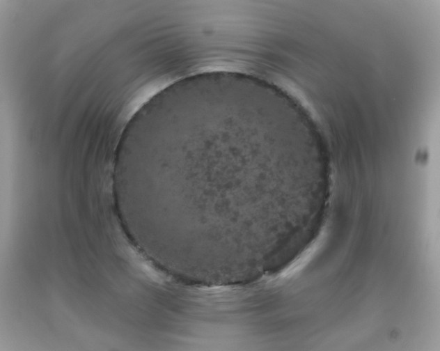X0000091931121200709051456