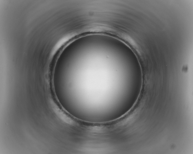 X0000091931122200709051456
