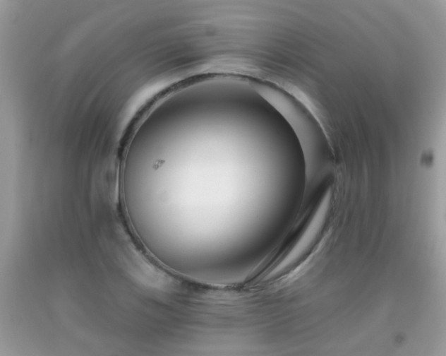 X0000091931123200709051456