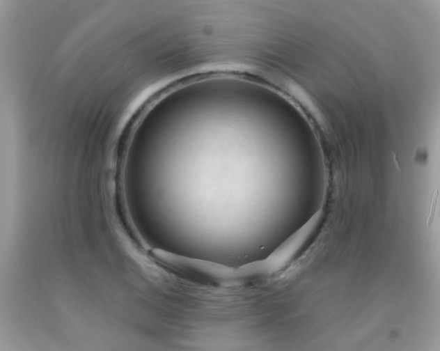 X0000091931124200709051456