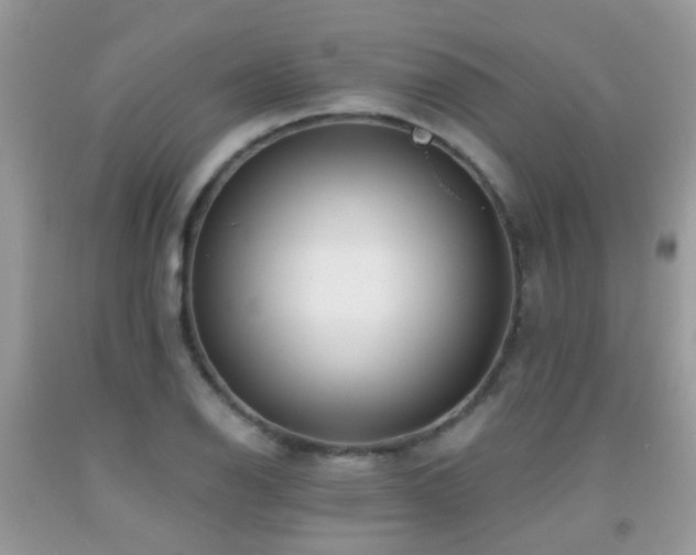 X0000091931126200709051456