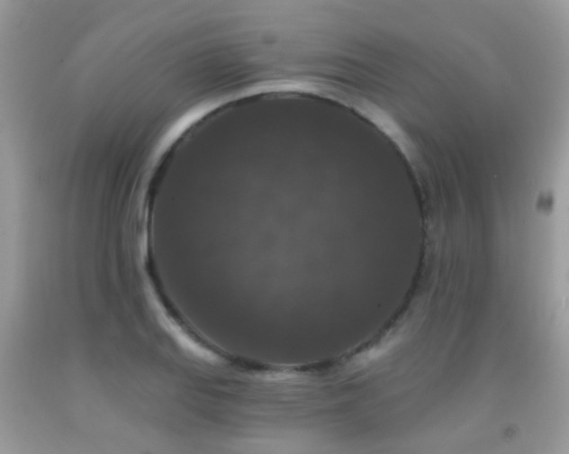 X0000091931127200709051456