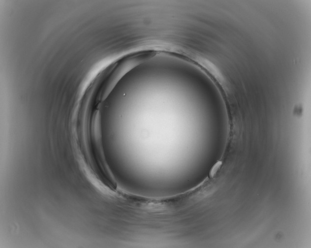X0000091931128200709051456