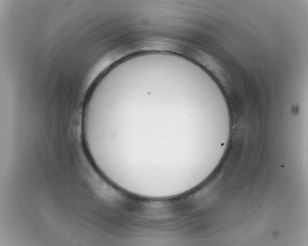 X0000091931130200709051456