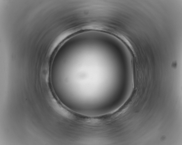 X0000091931131200709051456
