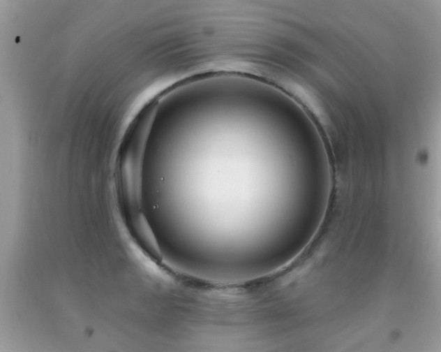 X0000091931133200709051456