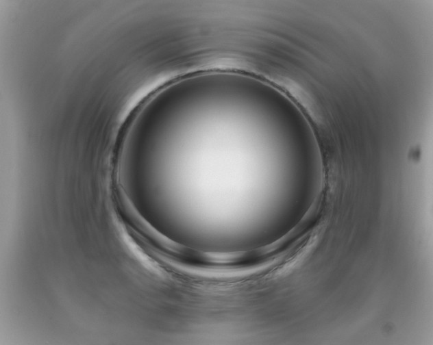 X0000091931134200709051456