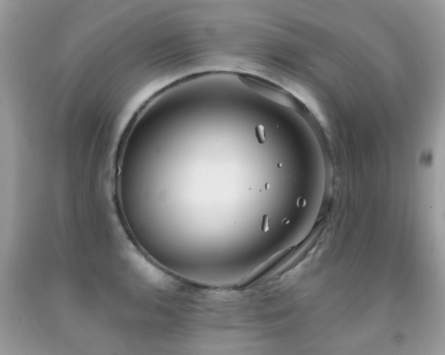 X0000091931136200709051456