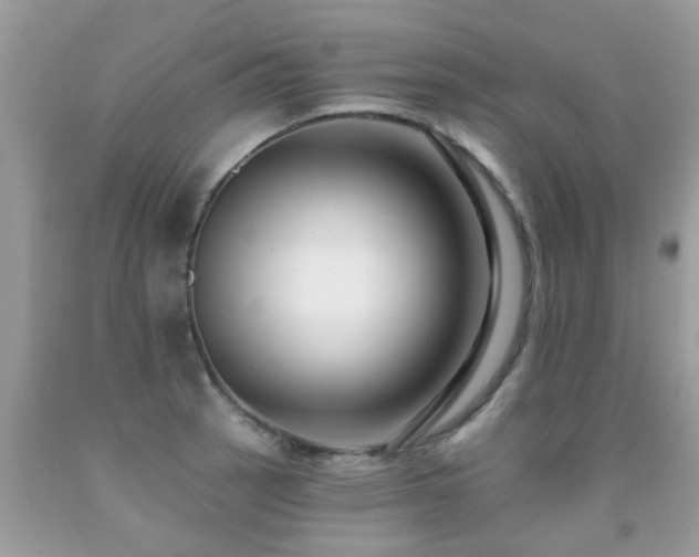 X0000091931137200709051456