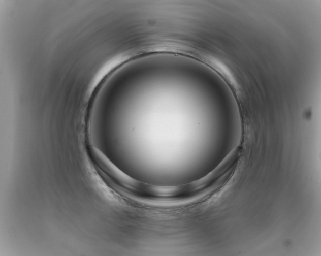 X0000091931138200709051456