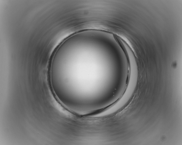 X0000091931139200709051456