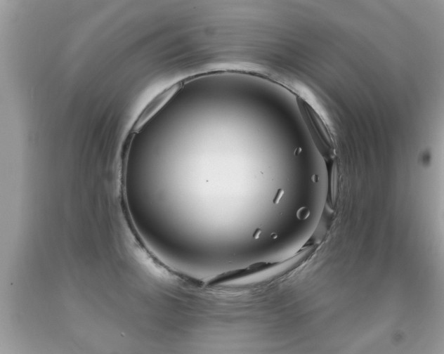 X0000091931140200709051456