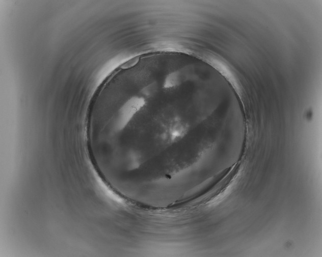 X0000091931141200709051456
