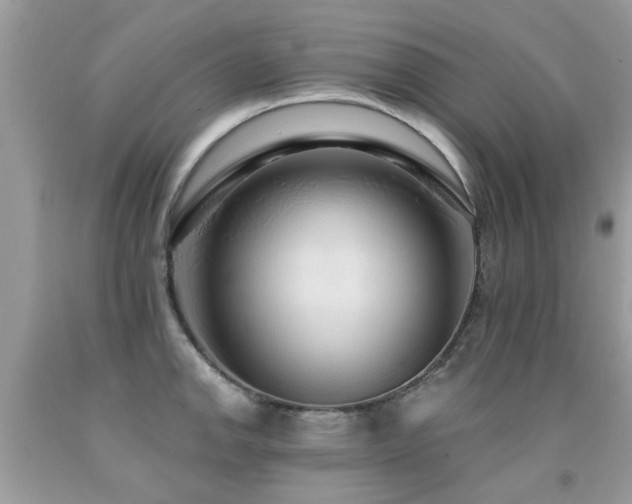 X0000091931142200709051456